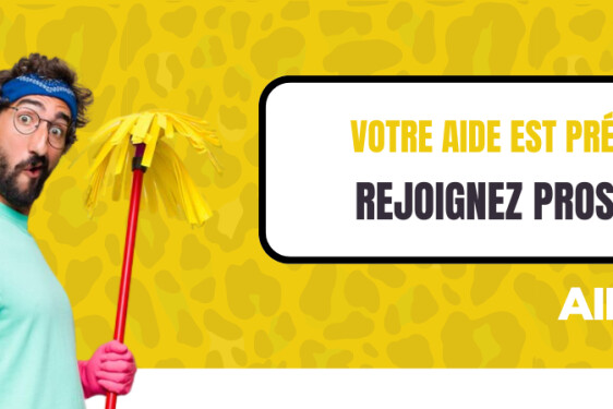 Aide ménagère (5)